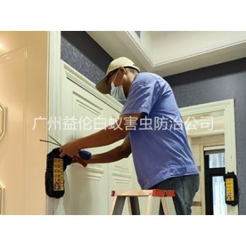 黄埔住宅白蚁防治工程