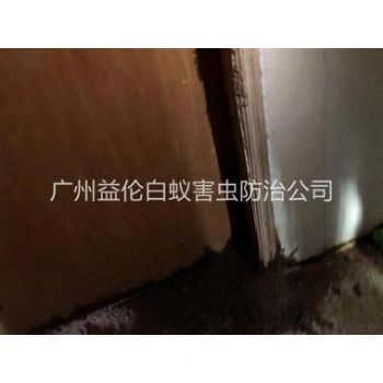 鱼珠白蚁危害防治工程