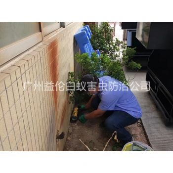 东区投放灭鼠装置工程