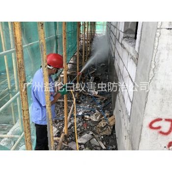 文冲建筑白蚁预防工程