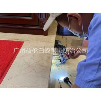 鱼珠安装诱杀箱监测白蚁工程