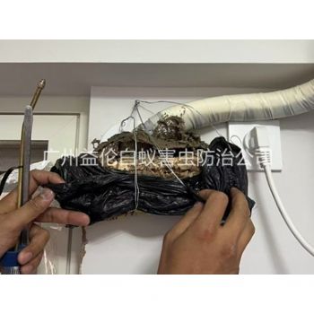 长洲房屋白蚁诱杀工程